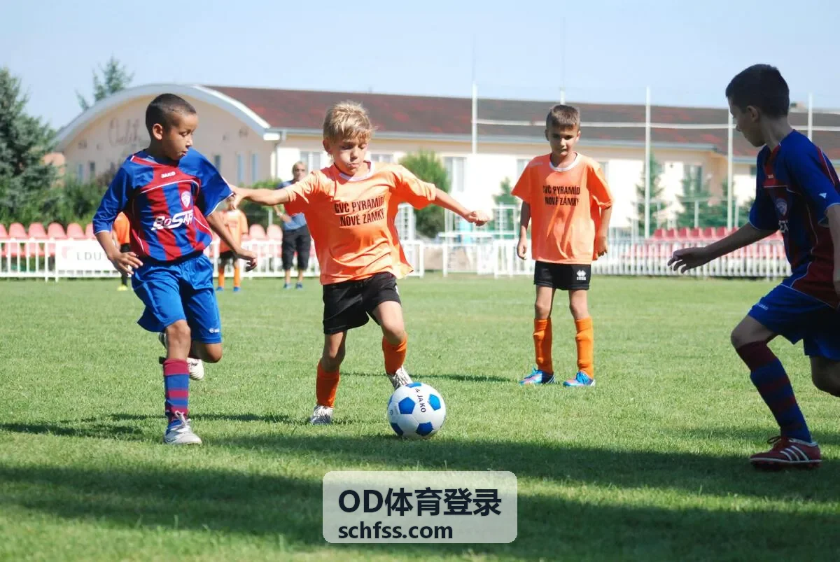 OD体育登录账号安全提醒小卡片